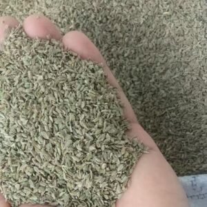 High Quality Carrot Seeds 12 Month