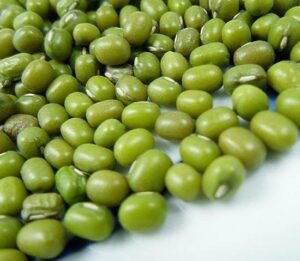 High Quality Dried Bulk Mung Bean