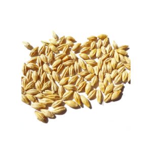 High Quality Dried Millet Meal Animal