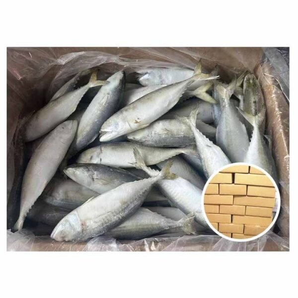 High Quality Exporter Rastrelliger Kanagurta IQF High Quality Exporter Rastrelliger Kanagurta IQF