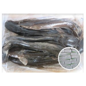 High Quality Frozen Clarius Fuscus Catfish
