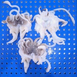 High Quality Frozen Cuttlefish Tentacle Open