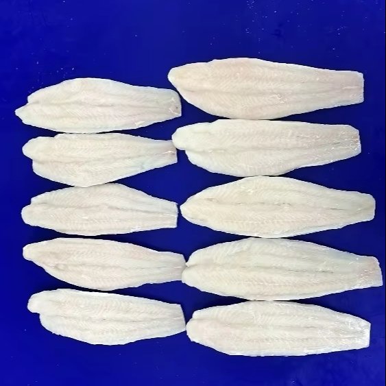 High Quality Frozen Pangasius Fillet Swai