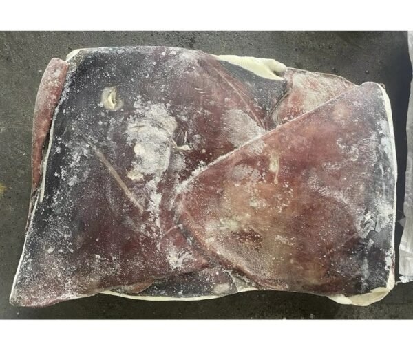 High Quality Frozen Squid Wings for