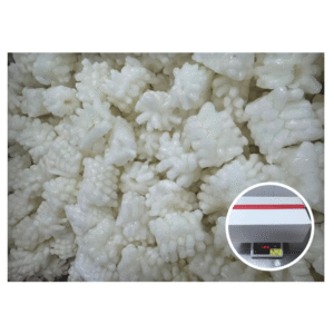 High Quality Gigas Calamari 60 NW