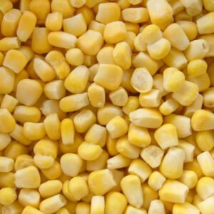 High Quality IQF Frozen Sweet Corn