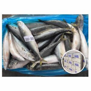 High Quality Landfrozen Mackerel 200 300g