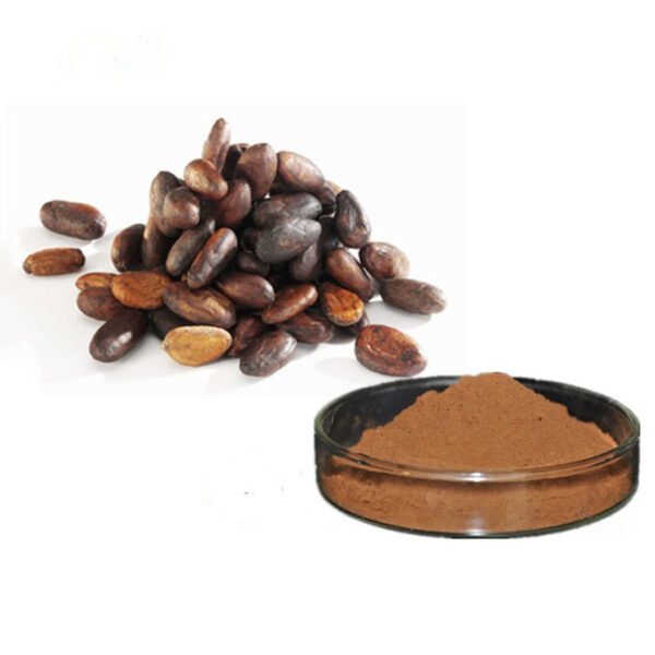 High Quality Organic Raw Alkalized Cocoa