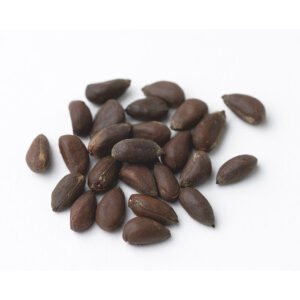 High Quality Top Grade Cotton Seed
