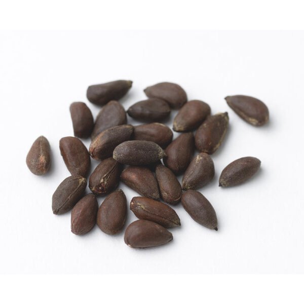 High Quality Top Grade Cotton Seed