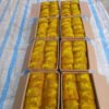 High Quality Wholesales Natural Cinnamon Sticks High Quality Wholesales Natural Cinnamon Sticks