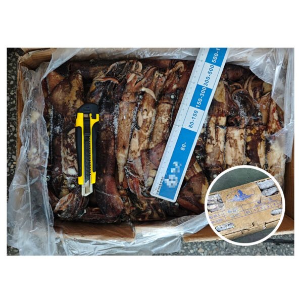 Hook Indian Ocean Squid Pescado Price