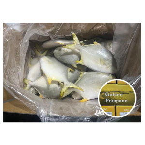 Hot Sale Competitive Price 300 350G