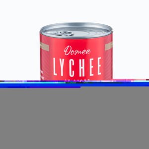 Hot Sale DOMEE Canned Fruit Lychee