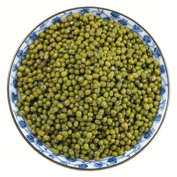 Hot Sale High Quality Sprouting Green