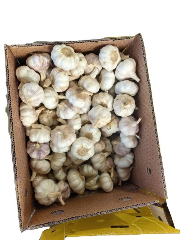 Hot Sales New Crop High Quality
