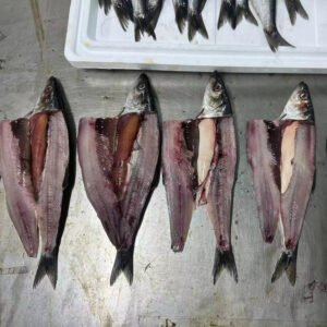 Hot Selling 200 300g Frozen Herring