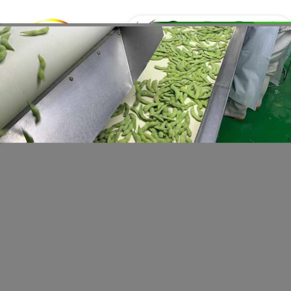 Hot Selling Bulk 10kg Frozen Vegetables