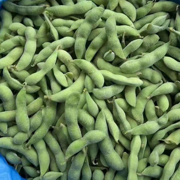 Hot Selling IQF Edamame Kernels Frozen