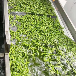 Hot Selling IQF Edamame Kernels Frozen