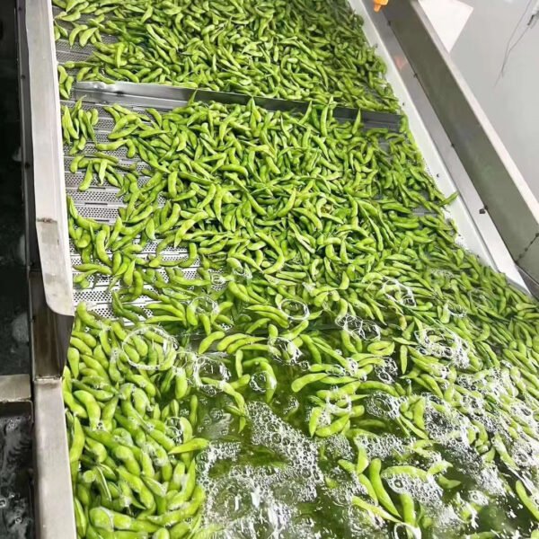 Hot Selling IQF Edamame Kernels Frozen