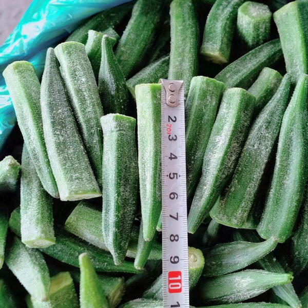 Hot Selling IQF Frozen Okra Freshly Hot Selling IQF Frozen Okra Freshly