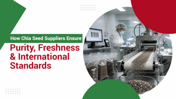 How Chia Seed Suppliers Ensure Purity Freshness & How Chia Seed Suppliers Ensure Purity Freshness & — premium quality