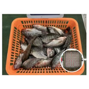 In Stock Ready Shipping Cheap Nila