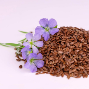 Indian Flex seeds Premium Organic High