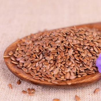 Indian Flex seeds Premium Plant Nutrition Indian Flex seeds Premium Plant Nutrition