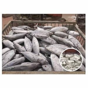 Indonesia Origin Seafrozen Tuna Fish 1