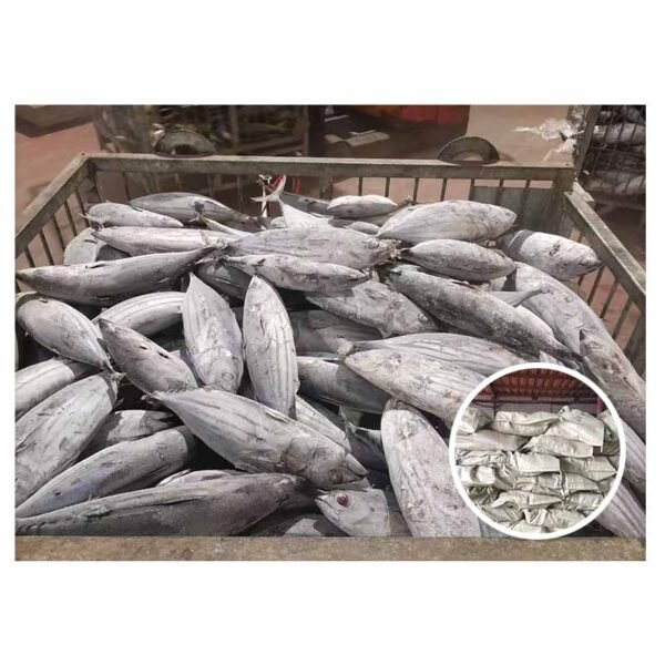 Indonesia Origin Seafrozen Tuna Fish 1