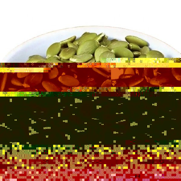Inner Mongolia Specialty 1000g Bagged Dried