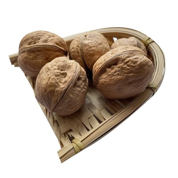 Inshell 185 Type Wholesale Price Sweet