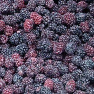 IQF Frozen Blackberries Wholesale Premium Frozen