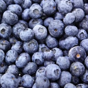 IQF Frozen Blueberries Bulk Wholesale High