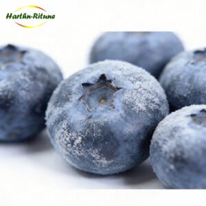IQF Frozen Blueberries ISO HACCP Certified