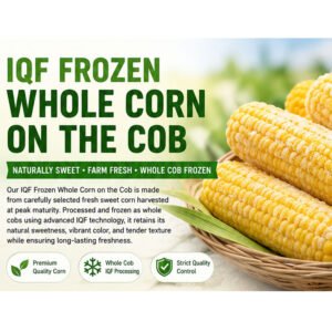 IQF Frozen Corn on the Cob