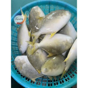 IQF Frozen Fish China Gold Pompano