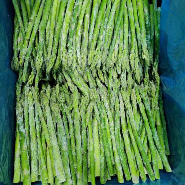 IQF Frozen Green Asparagus Spears Natural IQF Frozen Green Asparagus Spears Natural