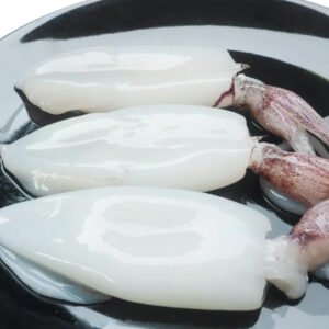 IQF Frozen Squid Tube Taiseng Seafoods
