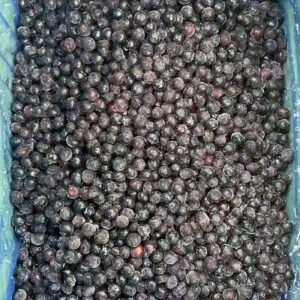 IQF Frozen Whole Blueberries HACCP Certified