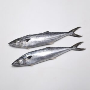 Iqf Mackerel Spanish High Quality Mackerel