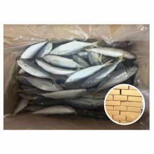 IQF Scad Mackerel Trachurus Trachurus 10