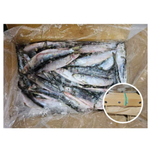 Japan Origin Herring Fish Whole Round