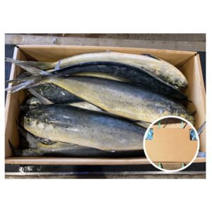 Japan Origin Mahi Fish 1 2kg