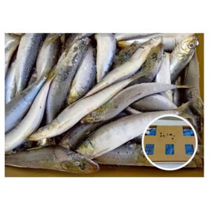 Japan Origin Sardine Sardinops Melanostictus 50g