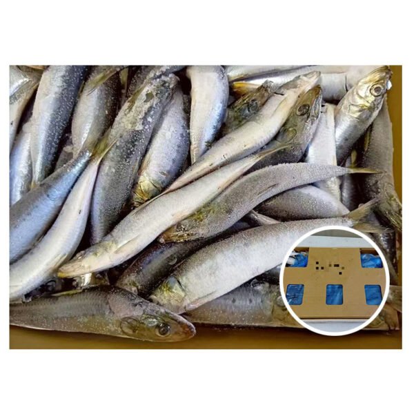 Japan Origin Sardine Sardinops Melanostictus 50g