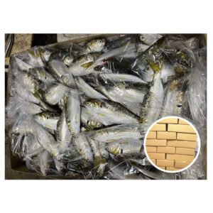 Japan Origin Shad Katti Fish 80