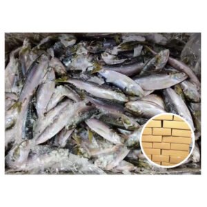 Japan Origin Shad Katti Fish 80